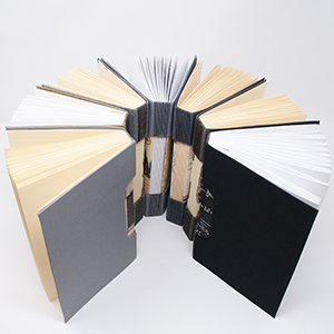 Books for Men