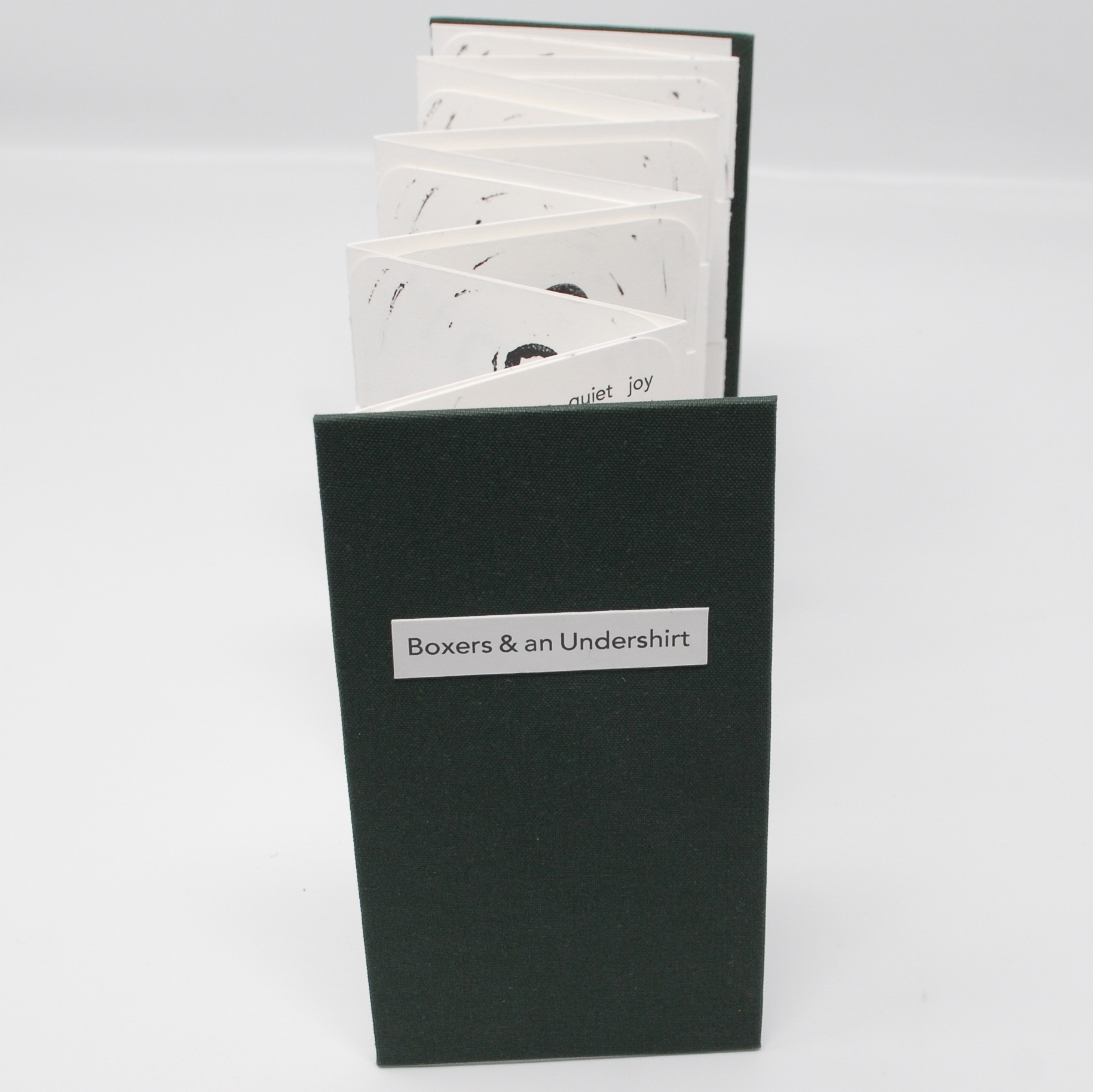 artist book
