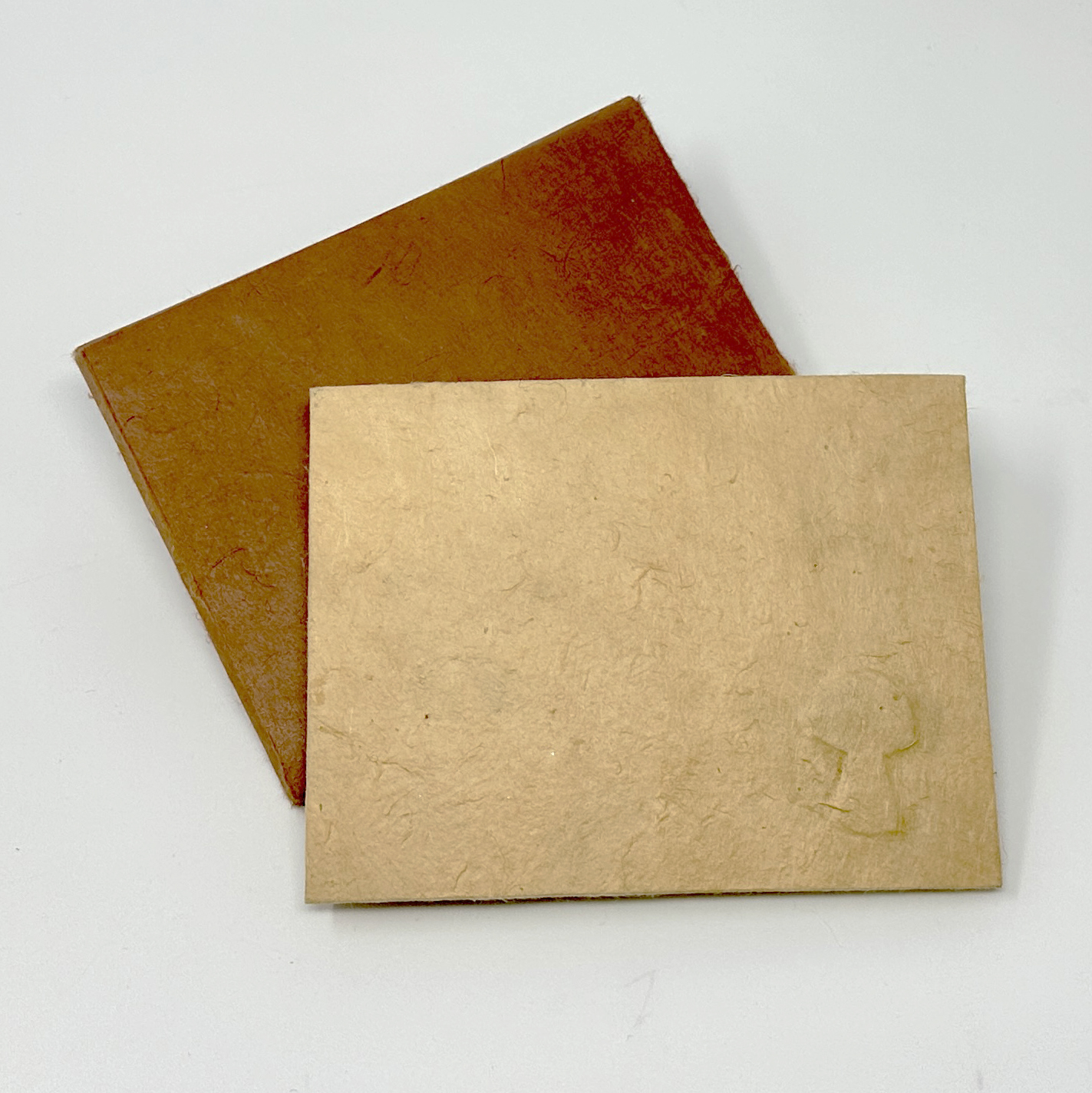 artist book