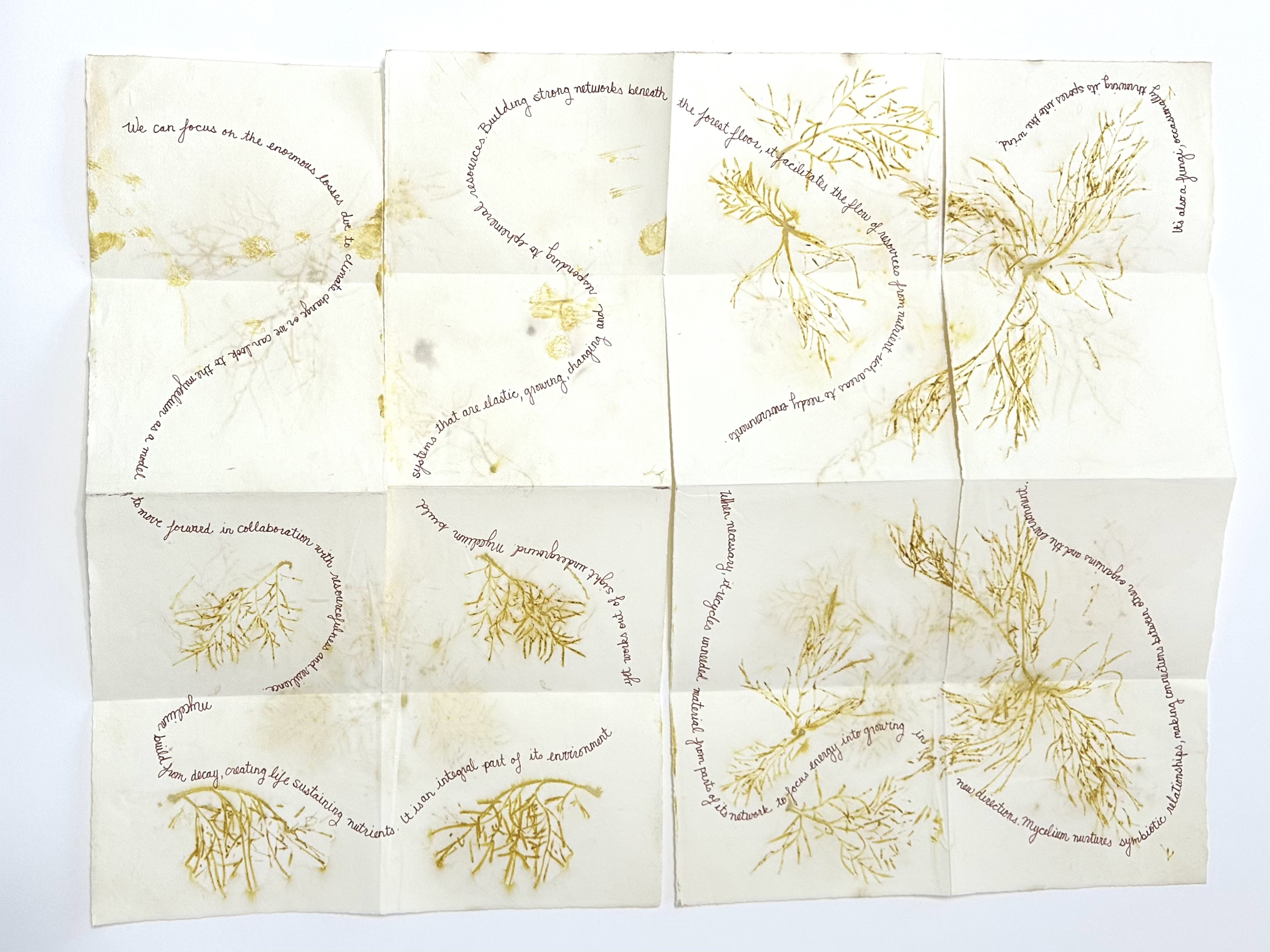 artist book