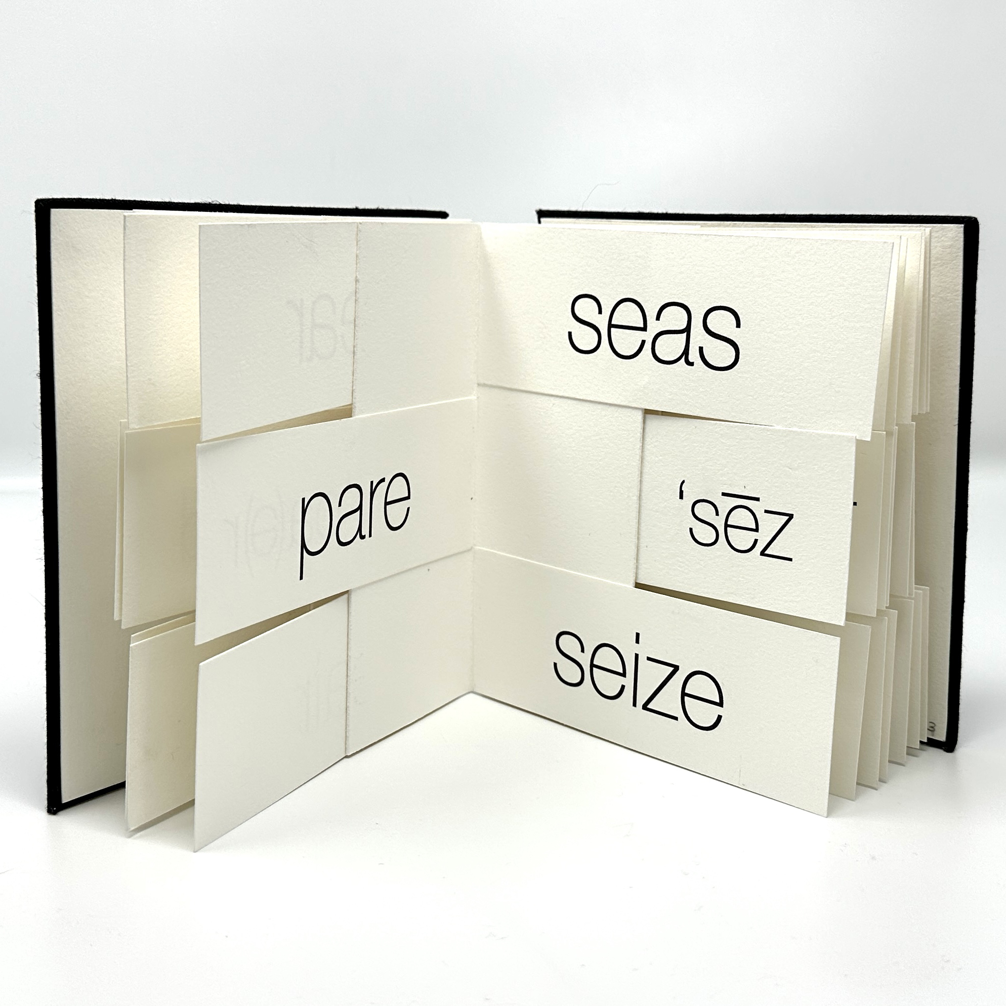 artist book
